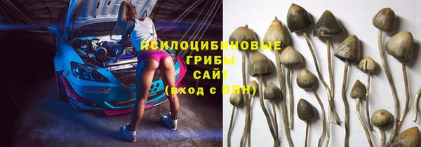 не бодяженный Абаза