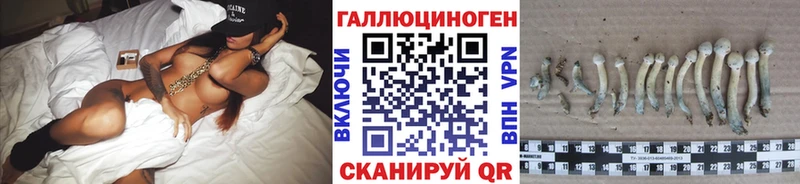 Псилоцибиновые грибы прущие грибы  Дубовка 